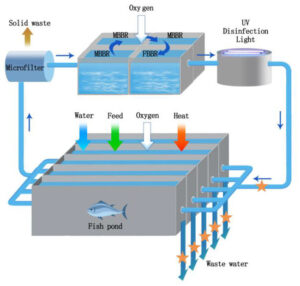 سنسور اکسیژن محلول در آب پرورش ماهی DO01